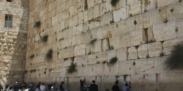 11 Biblical Experiences In Israel Youll Never Forget International